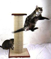 Whee!