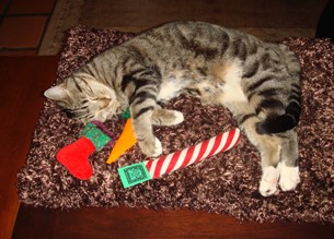 Fancy happily sleeping on the job