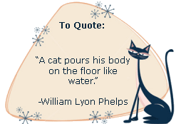 A cat pours his body on the floor like water. -William Lyon Phelps