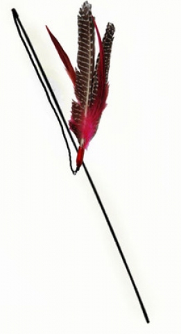 da_bird_wand_cat_toy