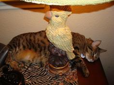 mews-sleep-kelly-lamp-sm