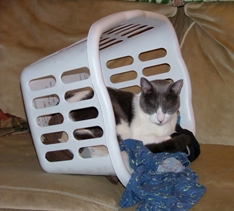 mews-sleep-niko-laundrybasket-sm