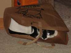 mews_sleep-gato-bag-sm