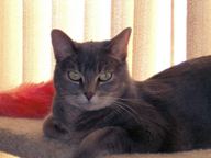 Abby