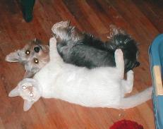 Cute times two. (Alternate title: "Hey, turn the flash off.")